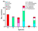 Detection in orchards of predominant azole-resistant Candida tropicalis genotype causing human candidemia, Taiwan. Samples from fruit, soil, and water at different orchards were collected. Swab samples from the hands and armpits and oral rinse samples were collected from orchard farmers. Colors indicate source of different yeast species. Numbers of Candida spp., Nakaseomyces glabratus (formerly C. glabrata), and Pichia kudriavzevii (formerly C. krusei) yeast isolates were determined for each sample type.