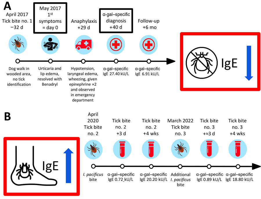 Timeline of tick bite exposures, symptoms, healthcare visits, and laboratory results for patient in study of alpha-gal syndrome, Washington, USA, 2017–2022. A) Timeline after first tick bite in 2017. B) Timeline of second (2020) and third (2022) bites from Ixodes pacificus ticks.