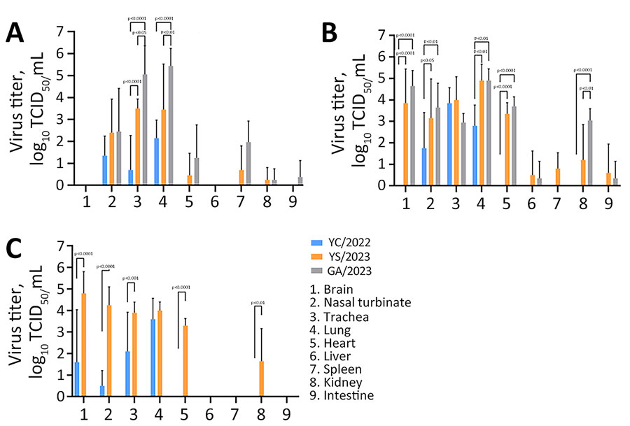 Virus titers in organs of mice infected with highly pathogenic avian influenza A(H5N1) viruses isolated from cats in South Korea, 2023. Viruses were isolated from 2 cats (YS/2023 and GA/2023) and 1 duck (YC/2022). BALB/c mice (n = 15/virus) were inoculated with 50 µL of 103 50% median lethal dose/mL of each virus; 5 mice/day from each virus group were euthanized on days 3 (A), 5 (B), and 7 (C) postinfection to measure and compare virus titers in organ tissues. GA/2023 virus titers were not measured on day 7 because all of those mice died by day 6 postinfection. p values were calculated by using 2-way analysis of variance. dpi, days postinoculation; GA/2023, A/feline/Korea/M305-7/2023; TCID50, 50% tissue culture infectious dose; YC/2022, A/duck/Korea/H493/2022; YS/2023, A/feline/Korea/M302-6/2023. 