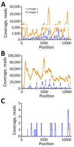 Coverage of lineage 1 and lineage 3 WNV as determined by reference guided assembly in samples from a patient with neuroinvasive disease and evidence of lineage 1 and 3 WNV infection, Nebraska, United States, 2023. Using de novo assembled consensus sequences, a reference guided assembly was completed. Reads mapped to lineage 1 (orange) and lineage 3 (purple) WNV are shown in serum (A), after Vero passage 1 (B), and in cerebrospinal fluid (C). WNV, West Nile virus.