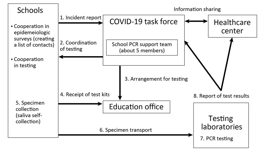 Overview of the SARS-CoV-2 PCR project conducted in school settings, Okinawa Prefecture, Japan, 2021–2022. The school’s PCR Project protocol begins when the Prefectural COVID-19 Task Force is notified of a SARS-CoV-2 infection in a student. The prefectural school PCR support team will arrange for testing, with students providing saliva samples through self-collection of saliva. School officials receive test containers from the education office and transport the specimens to the testing laboratories. Contacts are generally all children or students in the class with a positive case, and close contacts are those within 1 meter from the index case-patient for >15 minutes without appropriate infection control measures. 