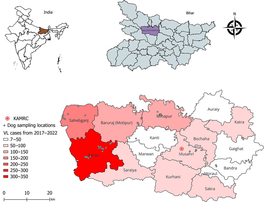 Locations of study villages and 5-year incidence of VL in a study of dogs as reservoirs for Leishmania donovani, Bihar, India, 2018–2022. A) Map of India showing Bihar; B) Bihar detail showing Muzaffarpur district study area; C) detail of sampling locations and VL cases, Muzaffarpur district. Geographic information system locations of study sampling sites calculated from a latitude-longitude application. Map produced using QGIS software version 3.30.3 (https://qgis.org) with open-access shapefile (https://onlinemaps.surveyofindia.gov.in). KAMRC, Kala-Azar Medical Research Center.