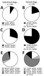 Seropositivity among endemic dogs with clinical signs consistent with CanL from the Muzaffarpur district in a study of dogs as reservoirs for Leishmania donovani, Bihar, India, 2018–2022. A,C,E) Results from subclinical (healthy) dogs; B,D,F) results from dogs with >2 clinical signs of CanL. Percentage of positive (black) versus negative (white) results by kinetoplastid-targeted qPCR or by rK39 ELISA are shown. E,F) Percentage of dogs with single-positive or double-positive diagnostic status among subclinical dogs (E) and clinical dogs (F). Statistical significance between subclinical and clinical groups measured by Fisher exact test. CanL, canine leishmaniosis; qPCR, quantitative PCR; +, positive; −, negative.