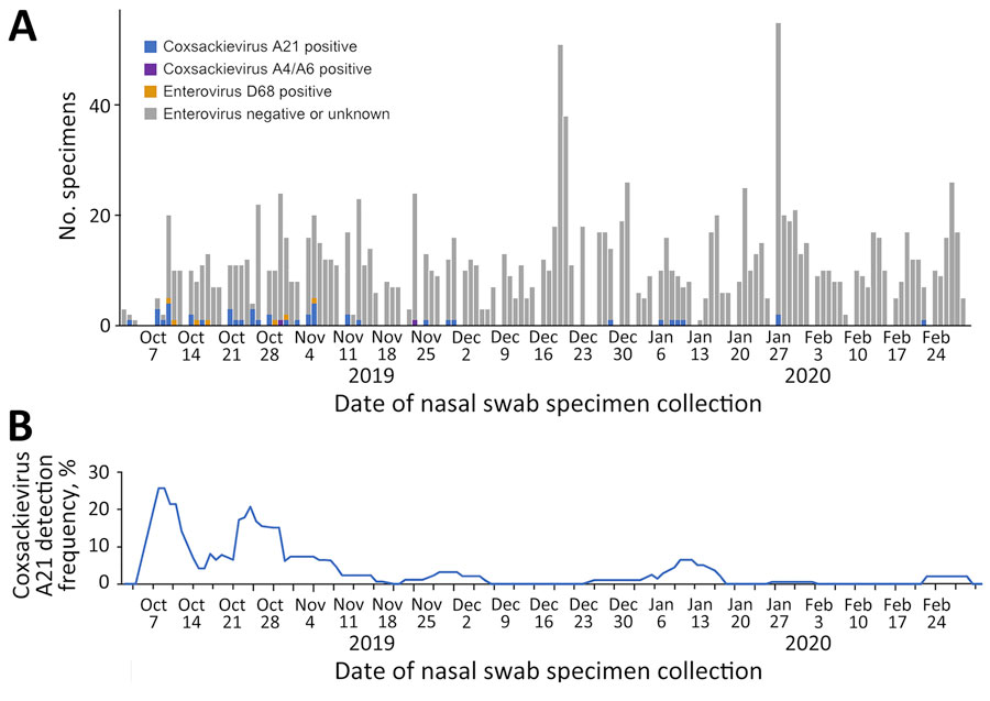 Nasal swab specimens (A) and enterovirus detection (B) in homeless shelters, King County, Washington, USA, October 2019–February 2020. Detection frequency represents a 7-day rolling average. No coxsackievirus A21-positive or enterovirus D68-positive specimens were detected during March 2020–May 2021. 