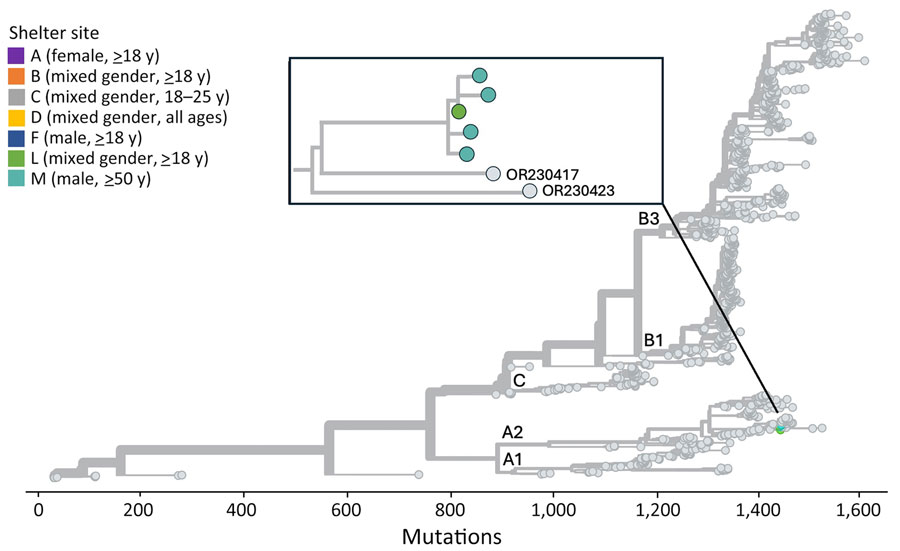 Phylogenetic tree of sequenced enterovirus D68 specimens of homeless shelter residents, King County, Washington, USA, October 2019–November 2019. Tips representing study specimens are colored according to shelter. Light gray tips represent enterovirus D68 genomes downloaded from GenBank. Inset shows a detailed view of the relationship among the study genomes. The x-axis represents the number of nucleotide changes in the genome relative to an enterovirus D68 reference genome (GenBank accession no. NC_038308.1).