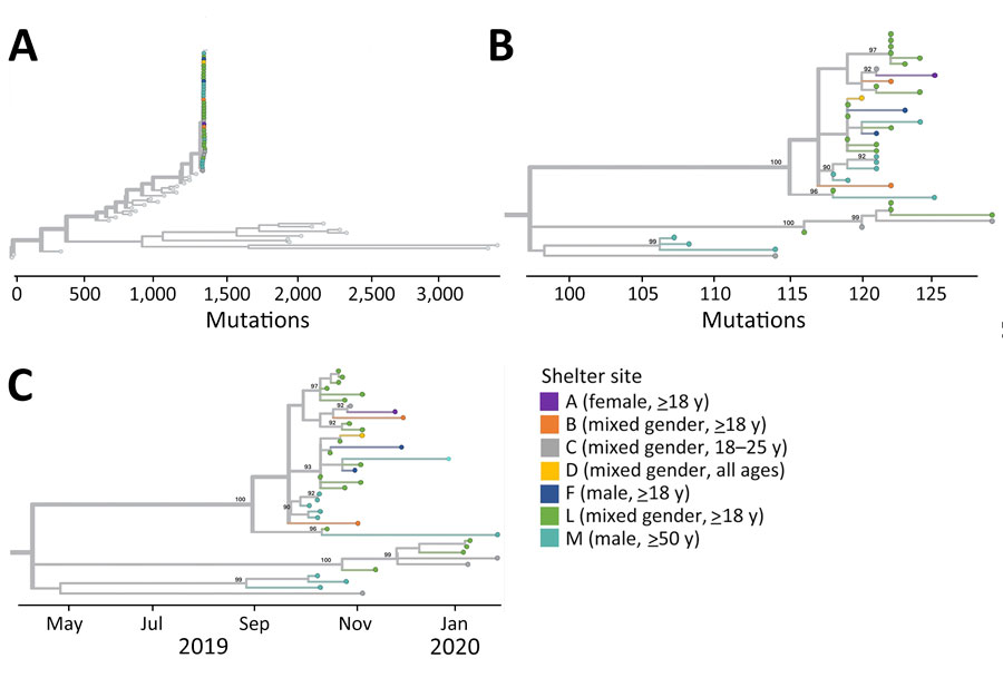 Phylogenetic trees of sequenced coxsackievirus A21 specimens of homeless shelter residents, King County, Washington, USA, October 2019–February 2020. A) Tree containing all shelter coxsackievirus A21 and all coxsackievirus A21 genomes deposited in GenBank. Tips representing study specimens are colored according to shelter. Light gray tips represent coxsackievirus A21 genomes downloaded from GenBank. The x-axis represents number of nucleotide changes in the genome relative to a coxsackievirus A21 reference genome (GenBank accession no. AF465515.1). B) Tree containing all shelter coxsackievirus A21 genomes. Internal nodes with >90% bootstrap support are labeled on tree. C) Tree containing all shelter coxsackievirus A21 genomes with x-axis corresponding to specimen collection date.