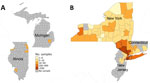 Total number of samples tested per county in participating jurisdictions in wastewater surveillance for poliovirus, United States, March 5, 2022–December 31, 2023. This figure represents the number of samples per county in participating jurisdictions on a logarithmic scale. A) Illinois, including the city of Chicago, and Michigan; B) New York, including New York City; Connecticut; and New Jersey. The thicker black borders in panel B show counties that had a positive sample for poliovirus.