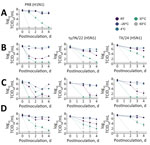 Stability of influenza A in retail and unpasteurized milk. We diluted influenza A viruses in either Opti-Mem control media (Fisher Scientific, https://www.fishersci.com) (A), retail off-the-shelf pasteurized whole milk (B), or 2 different sources of unpasteurized milk: colostrum milk (C) or mature milk (D). We then incubated 200-μL samples for several days at various temperatures, as shown. We subsequently titrated samples by TCID50 in MDCK cells. We tested 3 strains: PR8 (H1N1), ty/IN/22 (H5N1), and the reverse genetics version of TX/24 (H5N1). Unpasteurized colostrum milk produced during the first few days after birth contains high levels of immunoglobulins and antimicrobial peptides that might have had an effect in decreasing virus survival. PR8 (H1N1), wild-type strain A/Puerto Rico/8/1934 (H1N1); RT, room temperature; TCID50, 50% tissue culture infectious dose; TX/24, wild-type strain A/Texas/37/2024 (H5N1); ty/IN/22, wild-type highly pathogenic strain A/turkey/Indiana/3707-003/2022 (H5N1).