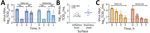 Viral titers in a study of persistence of influenza H5N1 and H1N1 viruses in unpasteurized milk on milking unit surfaces. A) Viral titers of bovine A(H5N1) virus diluted 1:10 in unpasteurized milk or PBS and deposited as ten 1-μL droplets onto the indicated surfaces. Droplets were recovered immediately after deposition (time 0) or after 1 hour of aging at 70% relative humidity (RH) at 21°C. Colored dots indicate measurements for each droplet; error bars indicate SD. Horizontal dotted lines indicate the theoretical limits of detection. B) Comparison of log decay values of H5N1 and H1N1 viruses in unpasteurized milk at 70% RH for 1 hour on rubber inflation liners and stainless steel. Decay was calculated as a ratio of the viral titer at time 0 divided by the titer after 1 hour. Colored symbols indicate measurements for each droplet. Horizonal lines indicate median values. C) Viral titers of the H1N1 virus diluted 1:10 in unpasteurized milk on the 2 surfaces at 70% RH for 0, 1, 3, or 5 hours at 23.6°C–25°C. Each symbol is a replicate of >2 biologic replicates using 2 distinct lots of unpasteurized milk performed in triplicate. Virus titer was calculated using the traditional TCID50 assay on MDCK cells. Colored dots indicate measurements for each droplet; error bars indicate SD. Horizontal dotted lines indicate the theoretical limits of detection. All raw data are available at https://doi.org/10.6084/m9.figshare.c.7242034.v1. PBS, phosphate buffered saline; TCID50, 50% tissue culture infectious dose. 