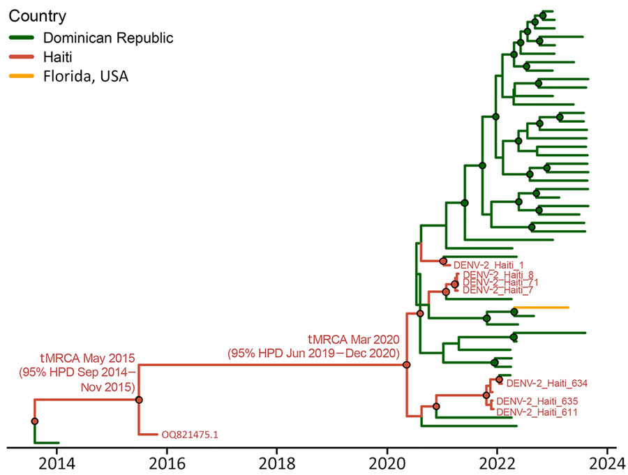 Phylogeography for the American/Asian genotype of DENV containing new Haiti isolates. Time-scaled phylogenetic maximum clade creditability tree for Haiti clade 2 (including GenBank accession no. OQ821475.1, isolated in 2015, and new 2021 strains, shown in red) was inferred using the phylogeographic frameworks in BEAST version 1.10.4 (https://beast.community) and enforcing the Bayesian Skyline demographic prior with an uncorrelated lognormal relaxed clock. Branch colors represent country of origin of the genome, and posterior probability bootstrap support >0.90 at each node is shown with a circle colored by the ancestral country of origin. DENV, dengue virus;  tMRCA, time to most recent common ancestor; HPD, highest posterior density. 