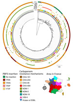 Phylogenetic tree of carbapenem-resistant Escherichia coli sequence type (ST) 410 isolates received at the French National Reference Center for Carbapenem-Resistant Enterobacterales, France, 2012–2023. Carbapenemases are classified into 3 of the 4 Ambler classes: class A (mainly Klebsiella pneumoniae carbapenemase); class B or metallo-β-lactamases (predominantly NDM, VIM, or imipenemase types); and class D, primarily OXA48–like types, including OXA-484 producers. Carbapenemase types are detailed and OXA-484 producers are indicated. ST410 strains are distinguished by whether there are amino acid insertions (YRIK, YRIN, YRIP, or YTIP motifs) in PBP3. We conducted the single-nucleotide polymorphism analysis on a common genome representing 89.05% of the entire genome of the reference strain 303D1. Hcase, helicase; ESBL, extended-spectrum β-lactamase; NDM, New Delhi metallo-β-lactamase; OXA, oxacillinase; PBP3, penicillin-binding protein 3; VIM, Verona integron-encoded metallo-β-lactamase.