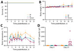 Clinical findings after experimental LLOV exposure in ferrets. Ferrets were inoculated through IM, IN, or aerosol (n = 6/group) routes with 1,000 focus-forming units of LLOV. A) Survival curve. B) Bodyweight percentage; dotted line is normalized to day of infection; error bars indicate standard error of the mean. C) Transponder temperature beginning at 1 day postinfection; error bars indicate standard error of the mean. D) LLOV glycoprotein-specific IgG titers in serum measured by ELISA. Dotted line indicates the limit of detection; error bars indicate standard error of the mean. IM, intramuscular; IN, intranasal; LLOV, Lloviu virus.