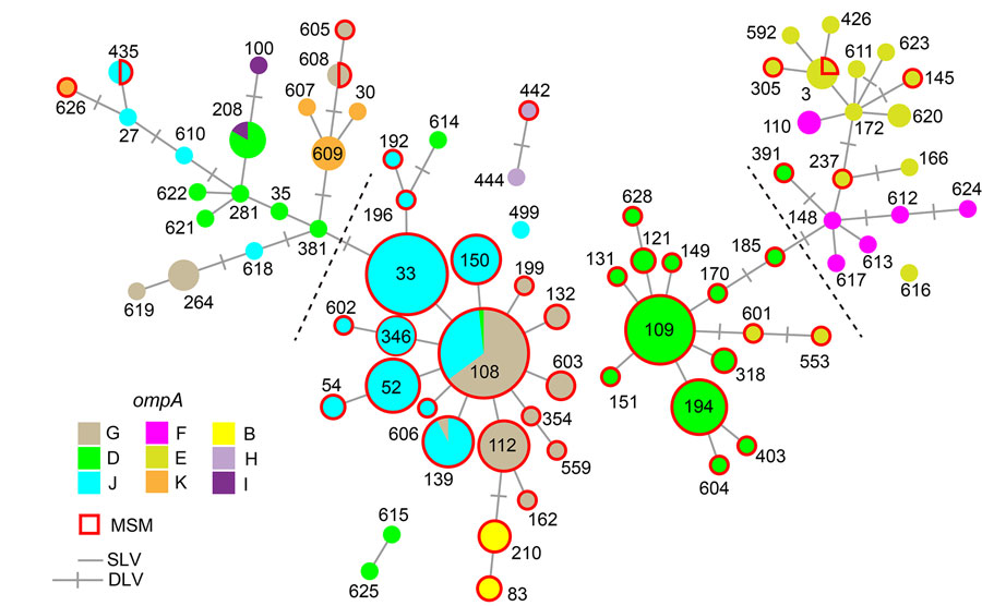 Minimum spanning tree based on sequence types (STs) and ompA of 298 Chlamydia trachomatis samples in study of clustering of specific polymorphic membrane protein E clade in C. trachomatis lineages from MSM, Japan. Each node indicates the ST number. SLVs and DLVs are linked. Samples from MSM are outlined in red, reflecting the proportion of samples in each node. The colors represent the ompA genotype. Nodes that contain several genotypes are shown as pie charts. Dashed lines are the assumed borders between the MSM and non-MSM lineages. DLV, double-locus variant; MSM, men who have sex with men; SLV, single-locus variant.