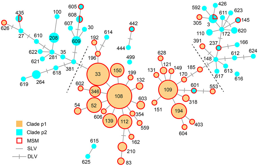 Minimum spanning tree based on sequence types (STs) and polymorphic membrane protein E (PmpE) of 298 Chlamydia trachomatis samples in study of clustering of specific PmpE clade in C. trachomatis lineages from MSM, Japan. Each node indicates the ST number. SLVs and DLVs are linked. Samples from MSM are outlined in red, reflecting the proportion of samples in each node. The PmpE clades p1 and p2 are colored using the same color codes as those used in Figure 2. Dashed lines are the assumed borders between the MSM and non-MSM lineages. DLV, double-locus variant; MSM, men who have sex with men; SLV, single-locus variant.