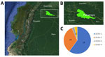 Cocirculation of 4 dengue virus serotypes in Putumayo Amazon Basin, 2023–2024. A) Location of Putumayo, Sucumbíos Province, Ecuador, South America; B) location of study area; C) representation of dengue virus serotype abundance.  