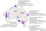 Locations of Eurasian lineage low pathogenic avian influenza H5 virus detections in Australia, 2023. Information is provided about the location, sample type, and date of H5 detections. NT, Northern Territory; QLD, Queensland; SA, South Australia; VIC, Victoria.