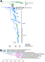 Phylogenetic analysis of Eurasian lineage LPAI H5 virus detected in Australia, 2023. A) Maximum-likelihood phylogenetic tree of all H5 sequences from Asia, North America, and Oceania since 2010. Major clades have been highlighted. The arrow indicates the novel lineage detection in Australia. The tree has been rooted between the North American and Eurasian lineages. Scale bar indicates number of substitutions per site. B) Cropped time-structured phylogenetic tree. Dashed lines indicate the date of divergence from GenBank reference sequences, the most recent common ancestor of all Australian sequences, and the date of first detection. Node bars comprise the 95% highest posterior density. Scale bar is time in years. gs/GD, goose/Guangdong lineage of highly pathogenic avian influenza A(H5N1); LPAI, low pathogenicity avian influenza.