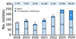 Numbers and percentages of isolates per year in study of spread of antifungal-resistant Trichophyton indotineae, United Kingdom, 2017–2024. Numbers of isolates of T. indotineae and all other dermatophyte species annually are referred to the UK National Mycology Reference Laboratory. Numbers above bars indicate percentages of all referrals that were T. indotineae.