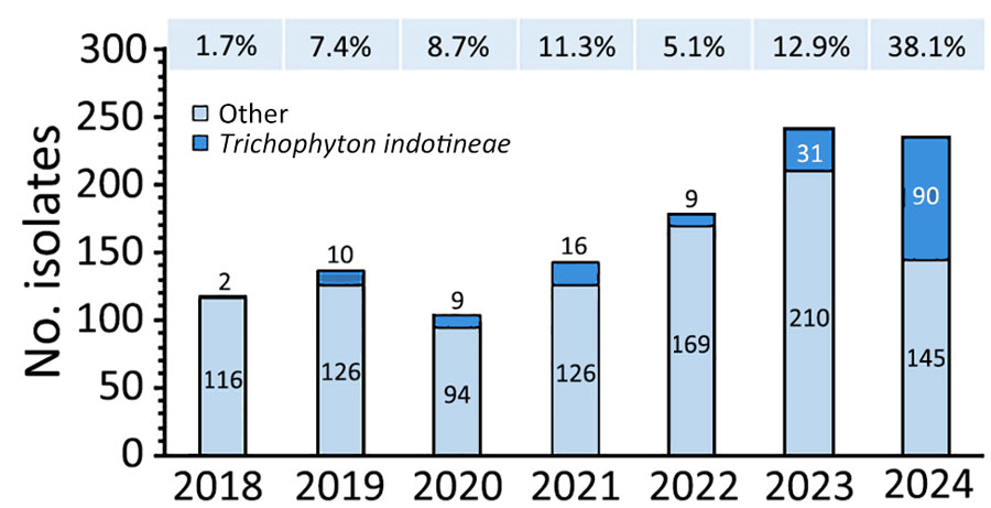 Numbers and percentages of isolates per year in study of spread of antifungal-resistant Trichophyton indotineae, United Kingdom, 2017–2024. Numbers of isolates of T. indotineae and all other dermatophyte species annually are referred to the UK National Mycology Reference Laboratory. Numbers above bars indicate percentages of all referrals that were T. indotineae.