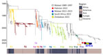 Phylogenetic history of cholera outbreaks within Malawi shown as part of a time-scaled maximum likelihood global phylogeny of 2,778 cholera genomes. Clade branches are colored by the previous 12 introduction events involving Africa (T1–T14 and AFR15) as described by Weill et al. (9). We denote the clade containing the genomes from the 2022–2023 outbreaks in Malawi, South Africa, and Zimbabwe as the AFR15 lineage. Heat map below the tree shows continent of sample origin. 