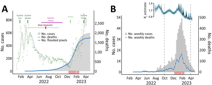 Relationships between confirmed cholera cases and cholera outbreak dynamics in Malawi during the 2022–2023 outbreak. A) Cyclones and flooding events affecting Malawi are shown. Green dots represent flooding conditions across Malawi as the daily number of pixels detected from remotely sensed satellite imagery; dashed green line indicates the moving average. Dark red mark indicates inferred time of introduction of a Pakistan strain into Malawi; the lighter shaded line indicates the 95% highest posterior density interval for the time estimate. B) Weekly number of newly confirmed cholera cases and deaths in Malawi during February 2022‒April 2023. Estimation of Rt and association with other variables is shown above the case data for September 2022‒April 2023 with plots of posterior distributions, median (black), and sample paths (blue). In borh plots, red rug plot below charts indicates temporal distribution of cases sequenced in our study. Rt, time-varying reproduction number.