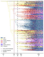 Time-scaled phylogeographic analysis of SARS-CoV-2 Omicron BA.5 sequences in the United States during January–June 2022. Analysis of BA.5 emergence was conducted by using 18,529 sequences collected globally and in the United States. Purple dotted line indicates the inferred date of the first introduction. The blue dotted line indicates the first sample of BA.5 sequenced in the United States. Colors indicate origin of the BA.5 variant.