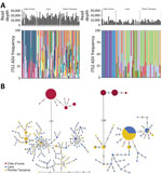 Frequencies and haplotype networks for ASVs of Trichuris spp. ITS1 and ITS2 in study of novel Trichuris incognita identified in patient fecal samples from Côte d’Ivoire and reference sequences. A) Histograms indicate the sequencing read depths and bar plots indicate the relative frequencies of ASVs generated by amplicon sequencing of Trichuris ITS1 (left) and ITS2 (right) loci from samples collected in Côte d’Ivoire, Laos, and Pemba Island, Tanzania. Colored bars indicate similarities or differences in ASV frequencies between the 3 geographic regions. B) Statistical parsimony haplotype networks of ASVs for Trichuris ITS1 and ITS2 loci generated by amplicon sequencing of fecal samples from patients in Côte d’Ivoire, Laos, and Pemba Island, Tanzania. Colored circles indicate the region and size of each circle indicates the ASV frequency. Numbers on connecting lines indicate the number of nucleotide differences between adjacent haplotypes. ASV, amplicon sequencing variant; ITS, internal transcribed spacer.