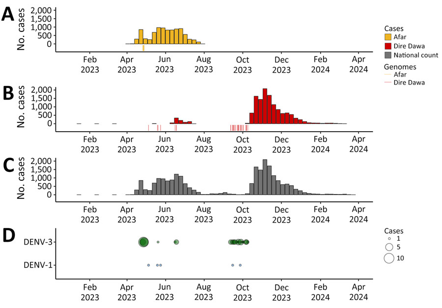 Spatiotemporal distribution of dengue cases in study of genomic characterization of circulating DENV, Ethiopia, 2022–2023. A–C) Number of dengue cases in Ethiopia in Afar Region during April 2023–August 2023 outbreak (A), Dire Dawa during June 2023–April 2024 outbreak (B), and national count during 2023–2024 (C). Each colored vertical line under bars indicates 1 sequenced genome. D) DENV serotype distribution of sampled cases. Size of circles indicates number of cases for each serotype. DENV, dengue virus.