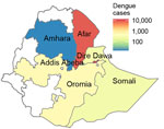 Number of dengue cases in different regions of Ethiopia during 2023–2024 in study of genomic characterization of circulating dengue virus. Only dengue virus (DENV) serotype 3 was found in Afar Region; both DENV-1 and DENV-3 were isolated in the city of Dire Dawa. 