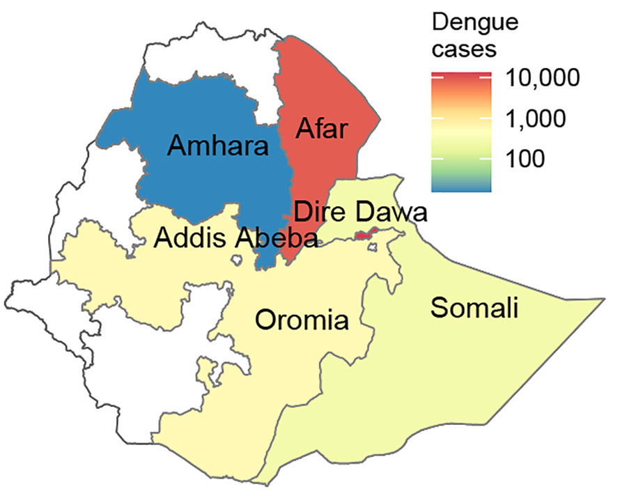 Number of dengue cases in different regions of Ethiopia during 2023–2024 in study of genomic characterization of circulating dengue virus. Only dengue virus (DENV) serotype 3 was found in Afar Region; both DENV-1 and DENV-3 were isolated in the city of Dire Dawa. 