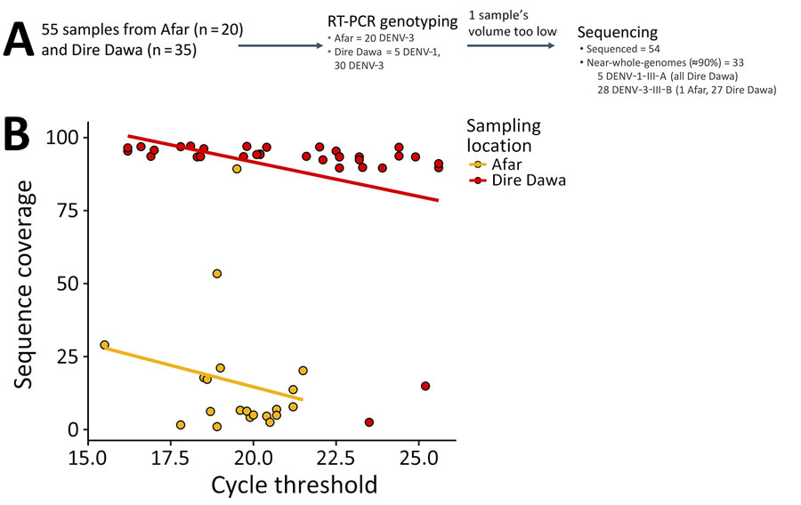 Sequencing process and coverage results in study of genomic characterization of circulating DENV, Ethiopia, 2022–2023. A) Patient sample selection, genotyping, and sequencing workflow. B) PCR cycle thresholds compared with sequence coverage for all sequenced specimens from Afar Regions and Dire Dawa. DENV, dengue virus; III-A, genotype III lineage A; III-B, genotype III lineage B; RT-PCR, reverse transcription PCR.