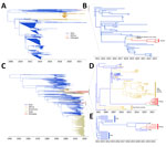 Time-scaled phylogenetic analysis of genomes from Ethiopia in study of genomic characterization of circulating dengue virus (DENV), 2022–2023. A) Time-scaled maximum-likelihood phylogeny of DENV-1 genotype III major lineage A clade sequences containing sequenced genomes from this study. B) Time-scaled phylogeny of subclade of tree in panel A, indicating close evolutionary relationships of DENV-1 sequences from Ethiopia. C) Time-scaled maximum-likelihood phylogeny of DENV-3 genotype III major lineage B clade sequences containing sequenced genomes from this study. D) Time-scaled maximum clade credibility tree of subclade from tree in panel C indicating phylogenetic relationships of cluster 1 of DENV-3 genomes from Ethiopia. E) Time-scaled maximum clade credibility tree of subclade from tree in panel C indicating phylogenetic relationships of cluster 2 of DENV-3 genomes from Ethiopia. Colors indicate country or continent origin of sequences used in trees.