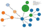 Minimum-spanning tree of 7 study isolates and 13 reference genomes in study of reemergence of Brucella abortus, Israel, 2021. Tree shows core-genome multilocus sequence typing analysis of 7 study isolates of B. abortus (5 bovine isolates, 1 clinical human isolate, and 1 B19 vaccine strain) and 13 reference Brucella genomes (Appendix 1 Table 3), using an ad hoc scheme of 2,424 loci (at 95% genome presence threshold). Node size is proportional to the number of genomes. Numbers denote the number of differing alleles. 