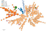 Minimum-spanning tree 7 study isolates and 986 public genomes in study of reemergence of Brucella abortus, Israel, 2021. Tree shows core-genome multilocus sequence typing analysis of 7 study isolates of B. abortus (5 bovine isolates, 1 clinical human isolate and 1 B19 vaccine strain) and 986 public genomes (Appendix 1 Table 3, using an ad hoc scheme of 2,460 loci (at 95% genome presence threshold). Genomes are color-coded by assigned clade (6). Purple outer rings indicate B. abortus reference genomes (7 biovars and S19 vaccine strain); red outer rinds indicate Isolates from Israel (7 study isolates, 2 public genomes). Node size is proportional to the number of genomes. 