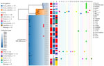 Phylogenetic analysis of Salmonella enterica serovar Abony from an outbreak caused by a WDCM 00029 Clone, Chile, 2024. A core SNP maximum-likelihood phylogenetic tree was constructed by using RAxML version 8 (https://github.com/stamatak/standard-RAxML) and genomes of Salmonella Abony isolates from the HC50_20673 cluster with the ATCC 6017 (i.e., ATCC BAA-2162/NCTC 6017) genome as the reference (Enterobase Barcode SAL_BA5138AA; Sequence Read Archive accession no. SRR1786283). The tree was constructed by using the Enterobase pipelines refMasker, refMapper, refMapperMatrix, and matrix_phylogeny, which together masked repeated regions, tandem repeats, and CRISPR regions in the reference genome, aligned genomes to reference, called nonrepetitive core SNPs, and built the maximum likelihood tree. Metadata regarding HC10 clusters (<10 allele differences) include isolation source, collection year, country of origin, antibiotic drug resistance genes (AMRFinderPlus version 3.12.8; database version 2024-05-02.2; https://www.ncbi.nlm.nih.gov/pathogens/antimicrobial-resistance/AMRFinder), and plasmid replicons (ABRicate version 1.0.1, https://github.com/tseemann/abricate; PlasmidFinder database, updated June 4, 2024). Red arrows indicate the WDCM 00029 genomes found in the public databases (Enterobase, https://enterobase.warwick.ac.uk/species/index/senterica; National Center for Biotechnology Information Sequence Read Archive, https://www.ncbi.nlm.nih.gov/sra) that were made public in 2013 (accession no. SRR955283), 2016 (accession no. SRR1815498), 2019 (accession no. SRR8599079), and 2021 (accession no. SRR15145673). Asterisks (*) in the collection year column indicate that information was missing. The figure was made by using iTOL version 6.9 (https://itol.embl.de). ATCC, American Type Culture Collection; cgMLST, core genome multilocus sequence typing; CRISPR, clustered regularly interspaced short palindromic repeats; SNP, single-nucleotide polymorphism.