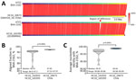 Whole-genome comparisons of Salmonella enterica serovar Abony from an outbreak caused by a WDCM 00029 clone, Chile, 2024. A) Example whole-genome comparison between Salmonella Abony WDCM 00029 (genome provided by ATCC; strain BAA-2162) and an isolate from the HC10_20673 cluster (strain SAbH24_18) from Chile, or the most closely related isolate (strain 201808966) outside the HC10_20673 cluster (mean difference to HC10_20673 isolates: 73 SNPs). Red lines connect regions of genome identity between each pair of compared genomes, with color indicating the percent identity. The red vertical arrow points to a region of difference between the compared genomes. B, C) Truncated violin plots of AF (B) and ANI (C) to the WDCM 00029 genome of the Salmonella Abony isolates (n = 18 genomes) from Chile and other isolates from the same HC50 cluster (HC10_142933 and HC10_165393; n = 12 genomes). In the violin plots, black horizontal lines represent medians and dotted lines represent 25% and 75% quartiles. Differences between the median values were assessed by using Mann-Whitney tests. AF and ANI calculations were made with FastANI version 1.34 (https://github.com/ParBliSS/FastANI). AF, alignment fraction; ANI, average nucleotide identity; ATCC, American Type Culture Collection; SNP, single-nucleotide polymorphism.