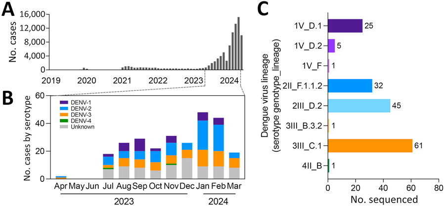 Cases in a study of multiple virus serotypes and lineages during dengue outbreak, Valle del Cauca, Colombia, 2023–2024. A) Monthly dengue cases reported by Valle del Cauca State Health Department in Colombia. Samples from confirmed dengue cases (n = 266) diagnosed at Hospital Universitario del Valle, Cali, Colombia. B) Number of cases per month by serotype during 2023–2024 period of increased dengue outbreaks. Serotypes detected by quantitative reverse transcription PCR. Samples with viral levels below detection limit are labeled unknown. C) DENV lineage by amplicon-based sequencing listed by serotype, genotype, and lineage. DENV, dengue virus.