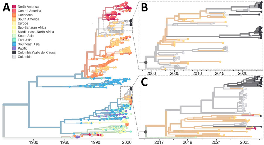 Time-resolved maximum-likelihood phylogeny of DENV-2 detected during an investigation of multiple virus serotypes and lineages during dengue outbreak, Valle del Cauca, Colombia, 2023–2024. The tree includes global DENV-2 sequences downloaded from GenBank and was constructed by using IQ-TREE (http://www.iqtree.org). A) Full reconstruction of 965 DENV-2 sequences from 1964­–2024 colored by sampling location. B) Detail of the DENV-2III_D.2 clade highlighting sequences from Valle del Cauca, Colombia (black) from 2023 through mid-2024. C) Detail of DENV-2II_F.1.1.2 clades highlighting sequences from Valle del Cauca, Colombia (black) from 2023 through mid-2024. DENV, dengue virus.