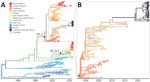 Time-resolved maximum-likelihood phylogeny of DENV-3 detected in an investigation of multiple virus serotypes and lineages during dengue outbreak, Valle del Cauca, Colombia, 2023–2024. The tree includes global DENV-3 sequences downloaded from GenBank and was constructed by using IQ-TREE (http://www.iqtree.org). A) Full reconstruction of 542 DENV-3 sequences from 1964 through 2024 colored by sampling location. B) Detail of the DENV-3III_C.1 clade highlighting sequences from Valle del Cauca, Colombia (black) from 2023 through mid-2024. 