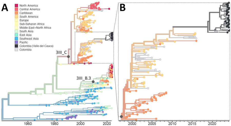 Time-resolved maximum-likelihood phylogeny of DENV-3 detected in an investigation of multiple virus serotypes and lineages during dengue outbreak, Valle del Cauca, Colombia, 2023–2024. The tree includes global DENV-3 sequences downloaded from GenBank and was constructed by using IQ-TREE (http://www.iqtree.org). A) Full reconstruction of 542 DENV-3 sequences from 1964 through 2024 colored by sampling location. B) Detail of the DENV-3III_C.1 clade highlighting sequences from Valle del Cauca, Colombia (black) from 2023 through mid-2024. 