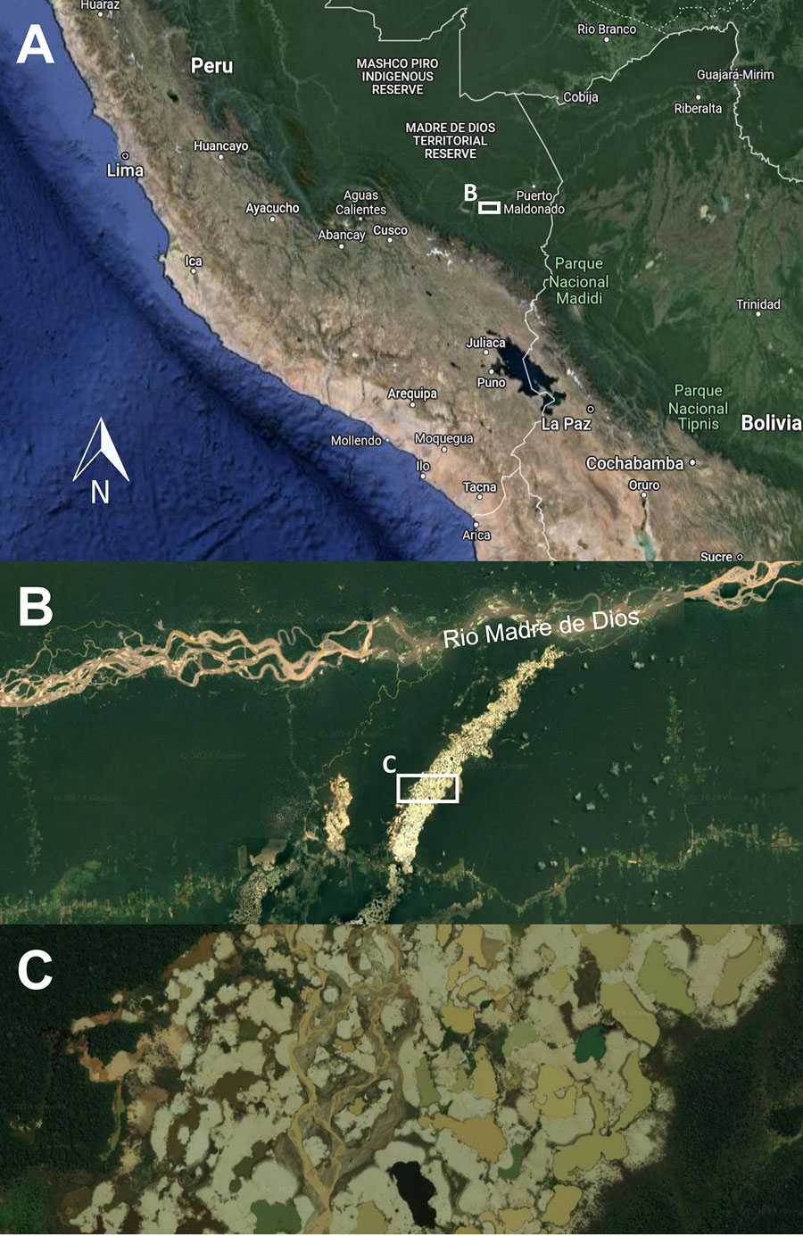 Satellite images of the region in Madre de Dios, Peru, where a patient from Switzerland contracted a suspected case of coccidioidomycosis while conducting field research, 2022. A) Map of southern Peru; B, C) enlargements of the area affected by mining-induced deforestation and desertification, visited by the patient. Images were obtained by using Google Maps (https://maps.google.com). 