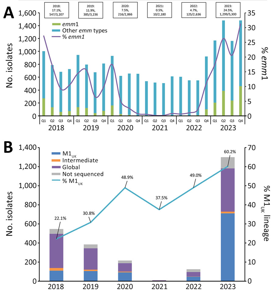 Expansion of invasive group A Streptococcus emm1 and the M1UK lineage in Canada, 2018–2023. A) Number of emm1 isolates collected, by quarter. B) Percentage of M1UK isolates among emm1 isolates collected. Q1, January–March; Q2, April–June; Q3, July–September; Q4, October–December. Annual proportions of emm1 are listed above the bars. Intermediate indicates an isolate with a partial M1UK genotype; not sequenced indicates an isolate that was submitted to the National Microbiology Laboratory as line-listed typing data only. 