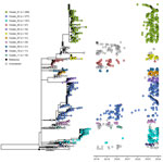 Maximum-likelihood core single-nucleotide variant phylogeny for 1,069 invasive group A Streptococcus M1UK lineage isolates collected in Canada, 2018–2023. Eleven large clusters are shown, each containing 10–280 isolates.