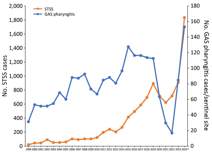 Number of reported STSS (all-cause, including GAS and other streptococcal groups) and GAS pharyngitis reported in Japan during 1999–2024. GAS pharyngitis is reported weekly from ≈3,000 pediatric sentinel medical institutions nationwide. Scales for the y-axes differ substantially to underscore patterns but do not permit direct comparisons. *Data for 2024 through week 50. GAS, group A Streptococcus; STSS, streptococcal toxic shock syndrome.