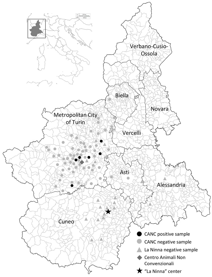 Municipalities of the Piedmont Region where hedgehogs were sampled in study of detection and genomic characterization of novel mammarenavirus in European hedgehogs, Italy. Inset shows location of Piedmont Region within Italy. CANC, Centro Animali Non Convenzionali.