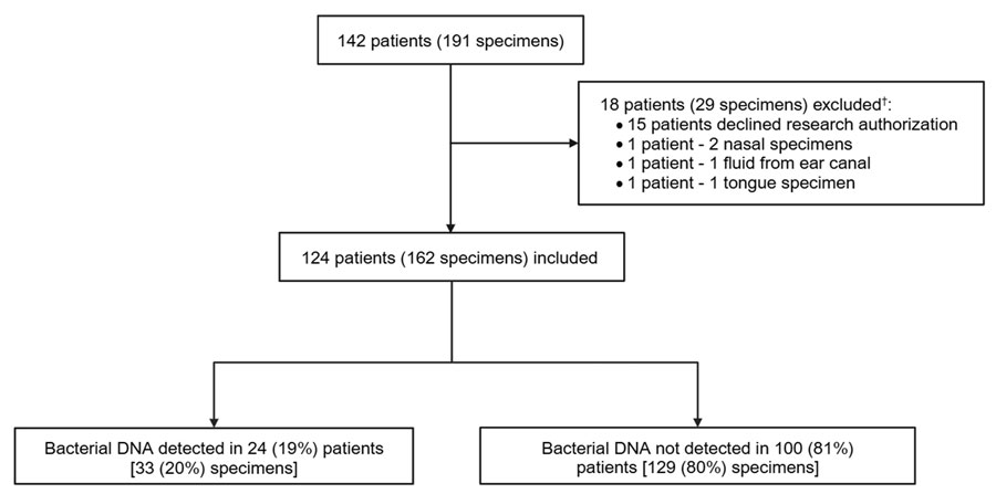 Specimen flowchart from a study of 16S ribosomal RNA gene PCR and sequencing for pediatric infection diagnosis, Mayo Clinic, Rochester, Minnesota, USA, 2020–2023. Specimens from tongue, ear canal, and nose were excluded.