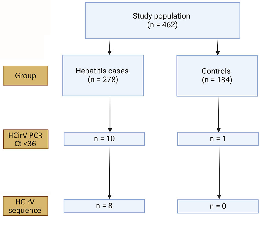 Results of screening in study of human circovirus in patients with hepatitis, Hong Kong. Ct, cycle threshold; HCirV, human circovirus.