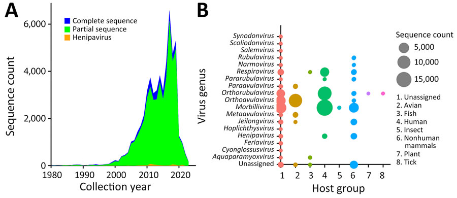 Trend in paramyxovirus sequences submitted to the National Center for Biotechnology Information Virus database (https://www.ncbi.nlm.nih.gov/labs/virus), 1980–2023. A) Sequence count by collection year, showing all complete and partial sequences compared with all henipaviruses. B) Virus genera and sequence counts by major host group from the VIRION database (32).