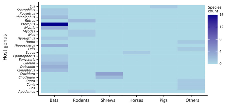 Numbers of henipavirus species by host group for sequences submitted to the National Center for Biotechnology Information Virus database (https://www.ncbi.nlm.nih.gov/labs/virus), 1980–2023. Host groups from the VIRION database (32) are represented at the genus level. 