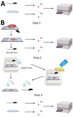 Experimental design of knife and cutting board testing in study of detection and decontamination of chronic wasting disease prions during venison processing. A) For negative control, surfaces were swabbed before use. B) Step 1: chronic wasting disease–negative or chronic wasting disease–positive muscle was cut and surfaces were swabbed. Step 2: surfaces were cleaned. Step 3: surfaces were swabbed again and swabs were tested by real-time quaking-induced conversion.